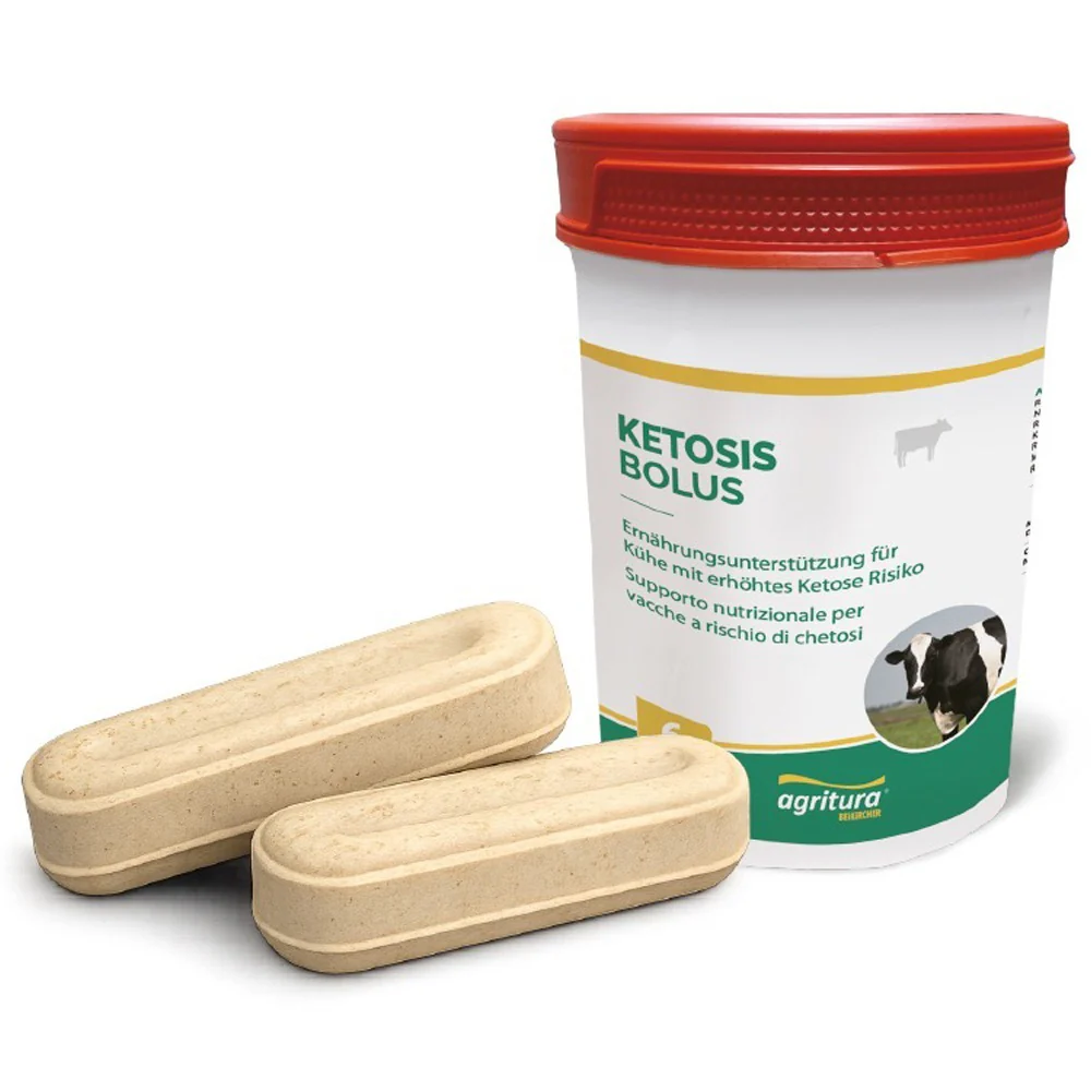 Agritura Dynamix Bolus Ketose 12x90gr