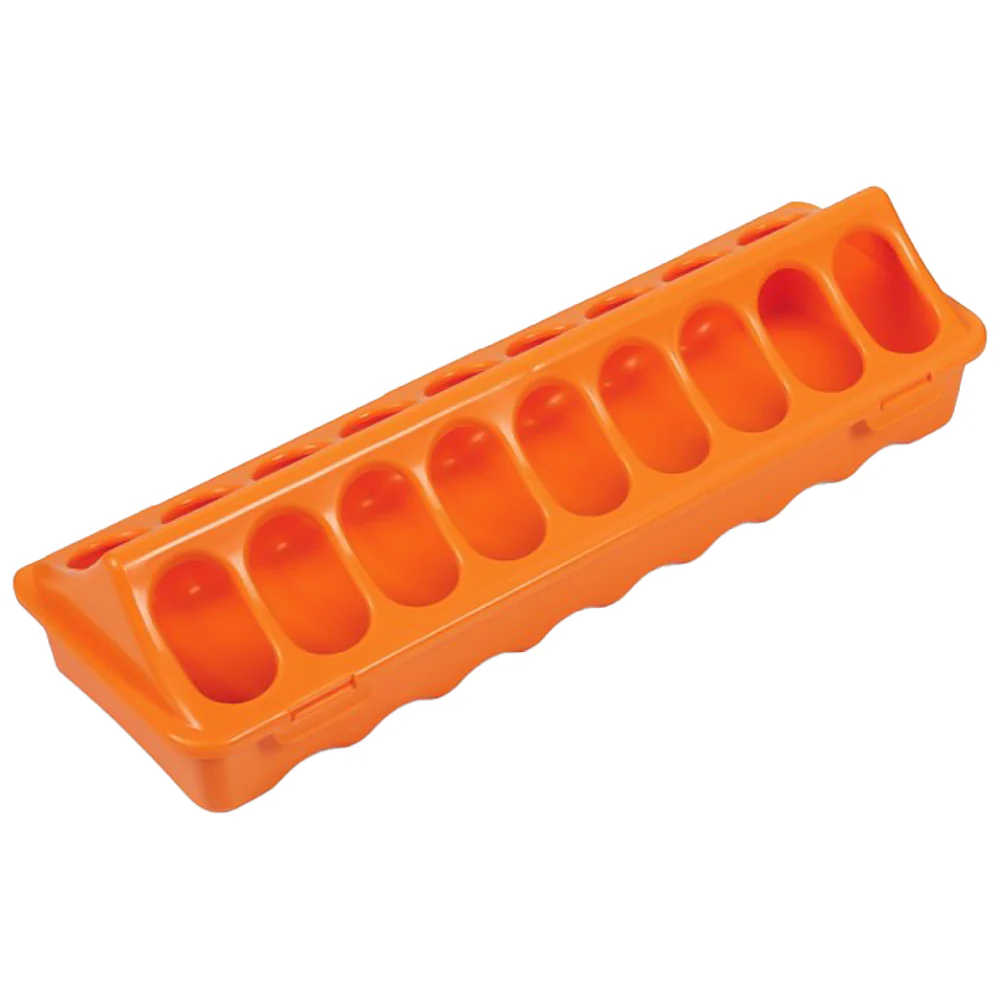Alimentatore a Terra - 30 CM per Polli e Uccelli Piccoli