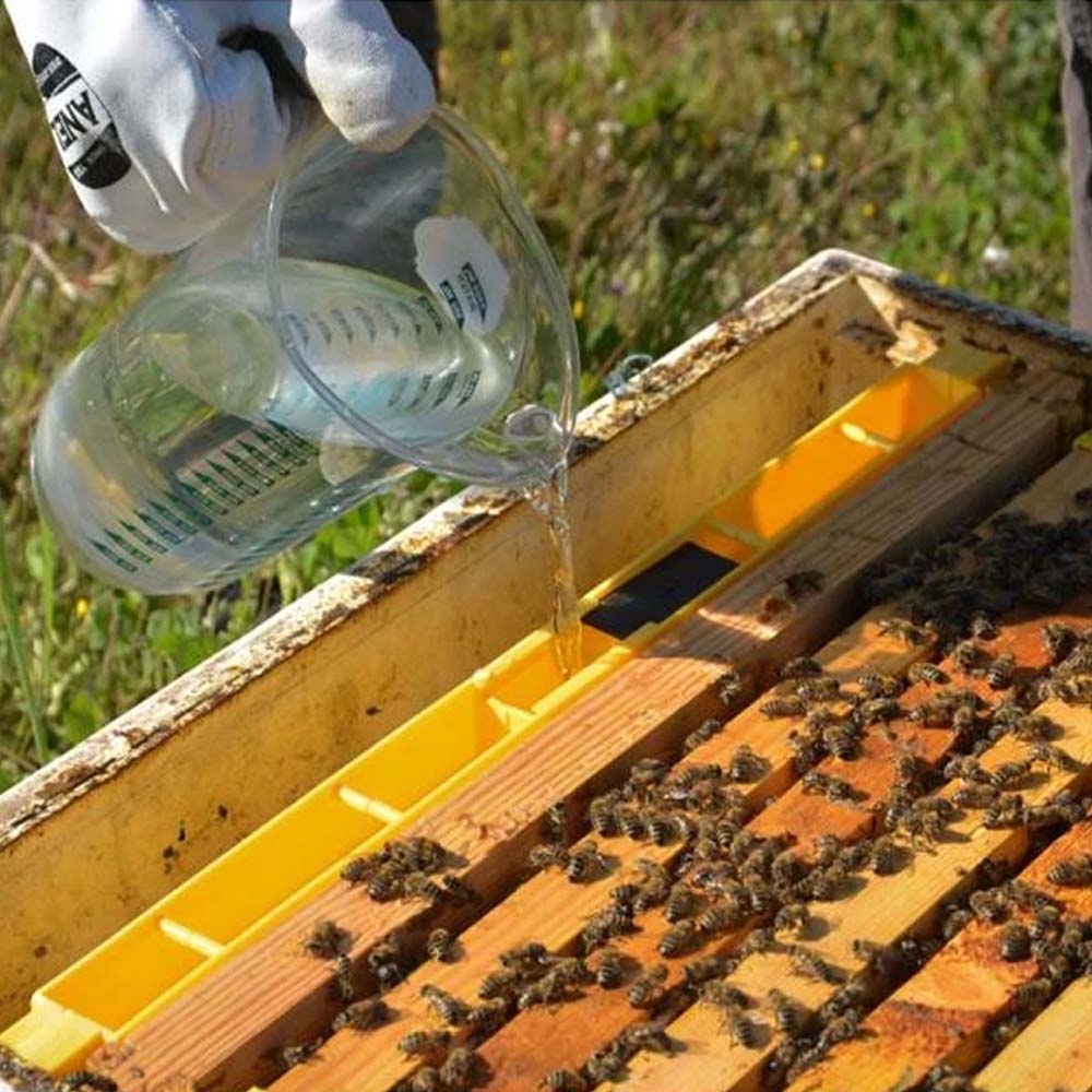 Api-Bioxal Un Farmaco Veterinario a Base di Acido Ossalico per il Controllo della Varroa nelle Api - Image 6