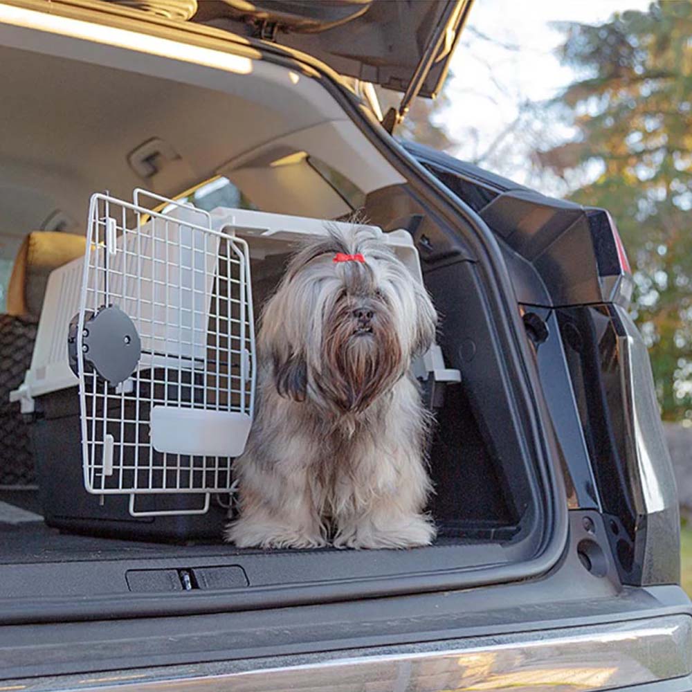 ATLAS 40 Trasportino per cani in plastica di medie dimensioni - Image 4