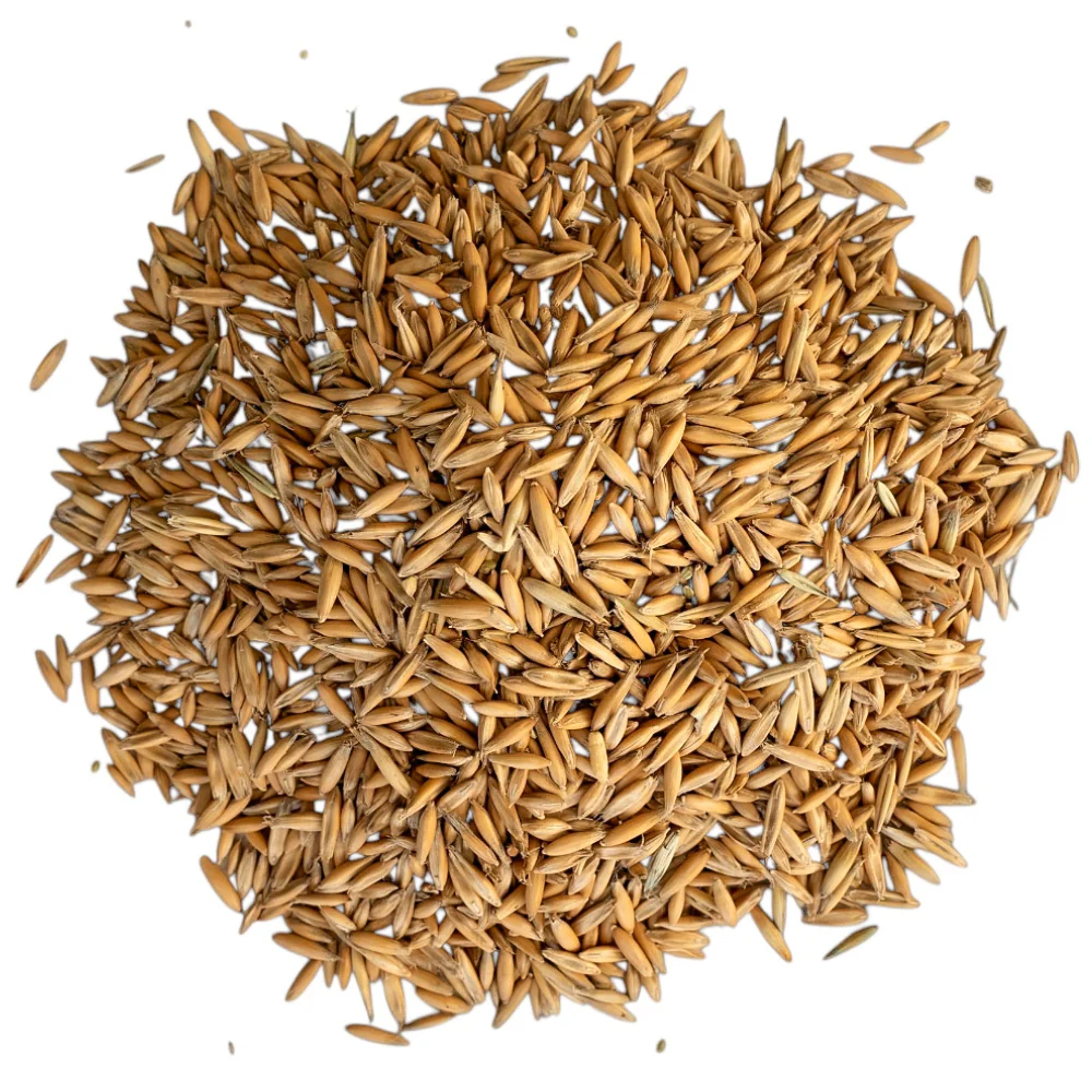 Beikircher Mangimi – Chicchi di avena (Sfuso/Big Bag/30kg) - Image 3
