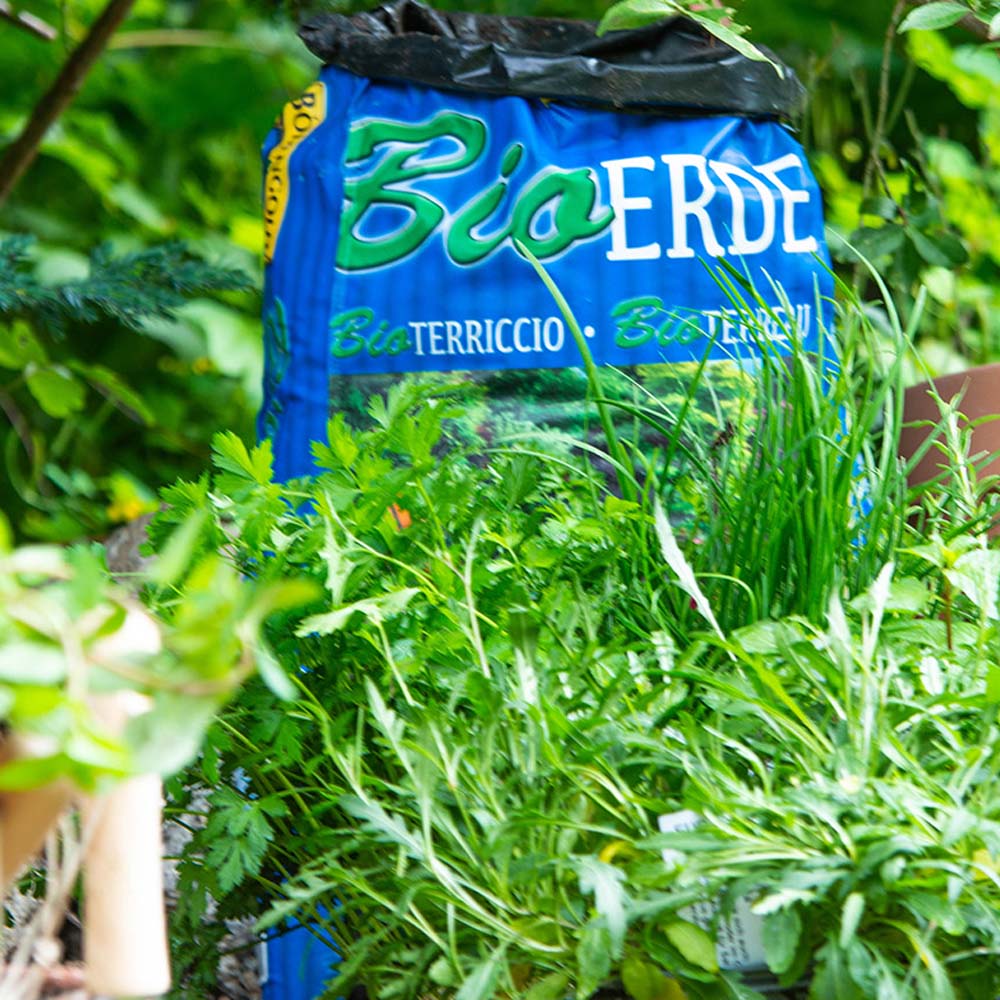 Bodengold Premium terriccio biologico 40l - Image 3