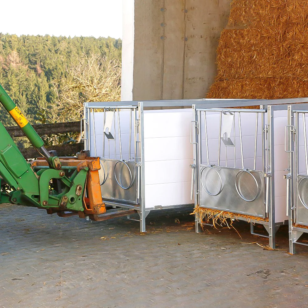 Box per vitelli con griglia antiscivolo e pannelli PVC - Image 13
