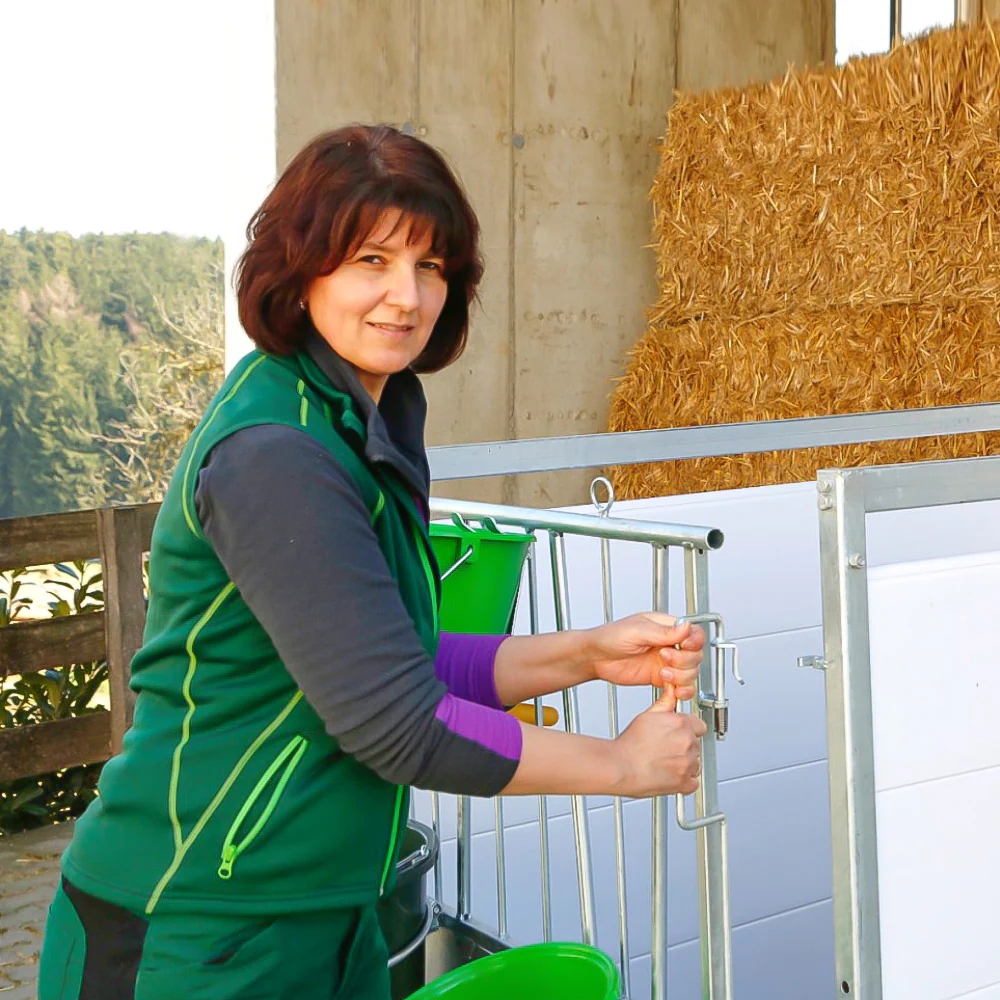 Box per vitelli con griglia antiscivolo e pannelli PVC - Image 14