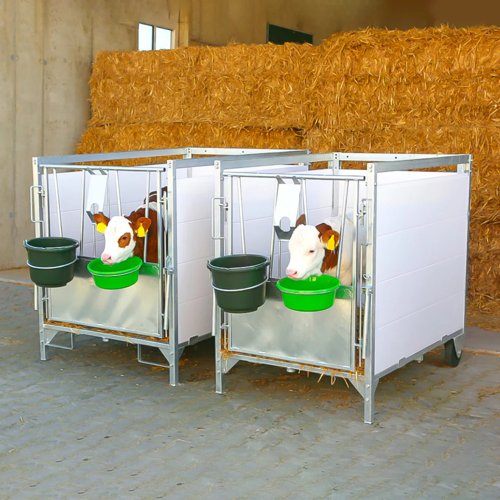 Box per vitelli con griglia antiscivolo e pannelli PVC - Image 16
