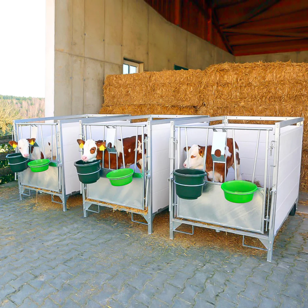 Box per vitelli con griglia antiscivolo e pannelli PVC - Image 18