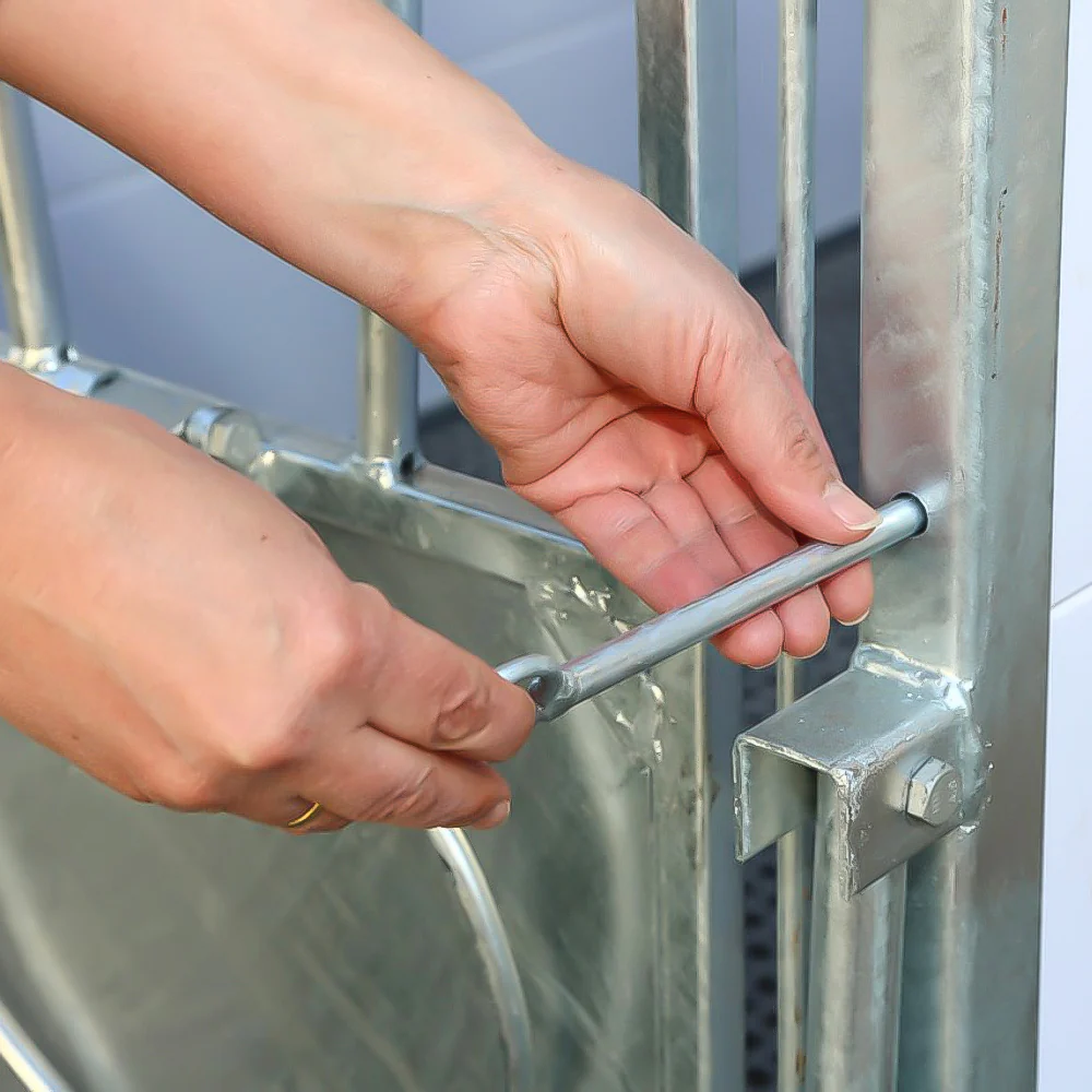 Box per vitelli con griglia antiscivolo e pannelli PVC - Image 8