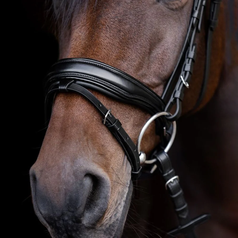 Briglia vernice Waldhausen S-Line Blackshine con cristalli - Image 6