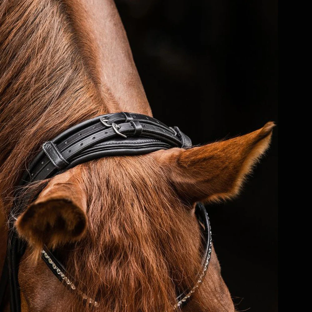 Briglia Waldhausen S-Line Magic con frontalino cristalli - Nero - Image 4