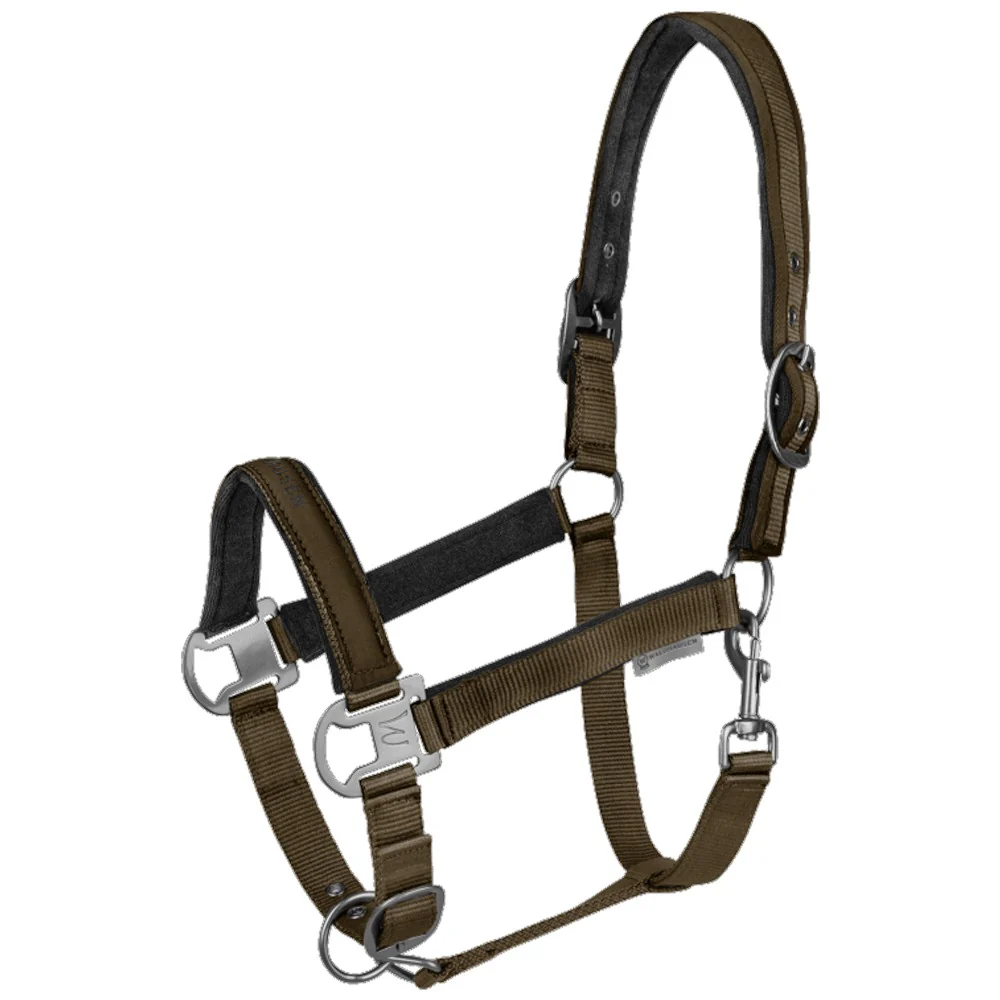 Capezza Athletic - Image 2