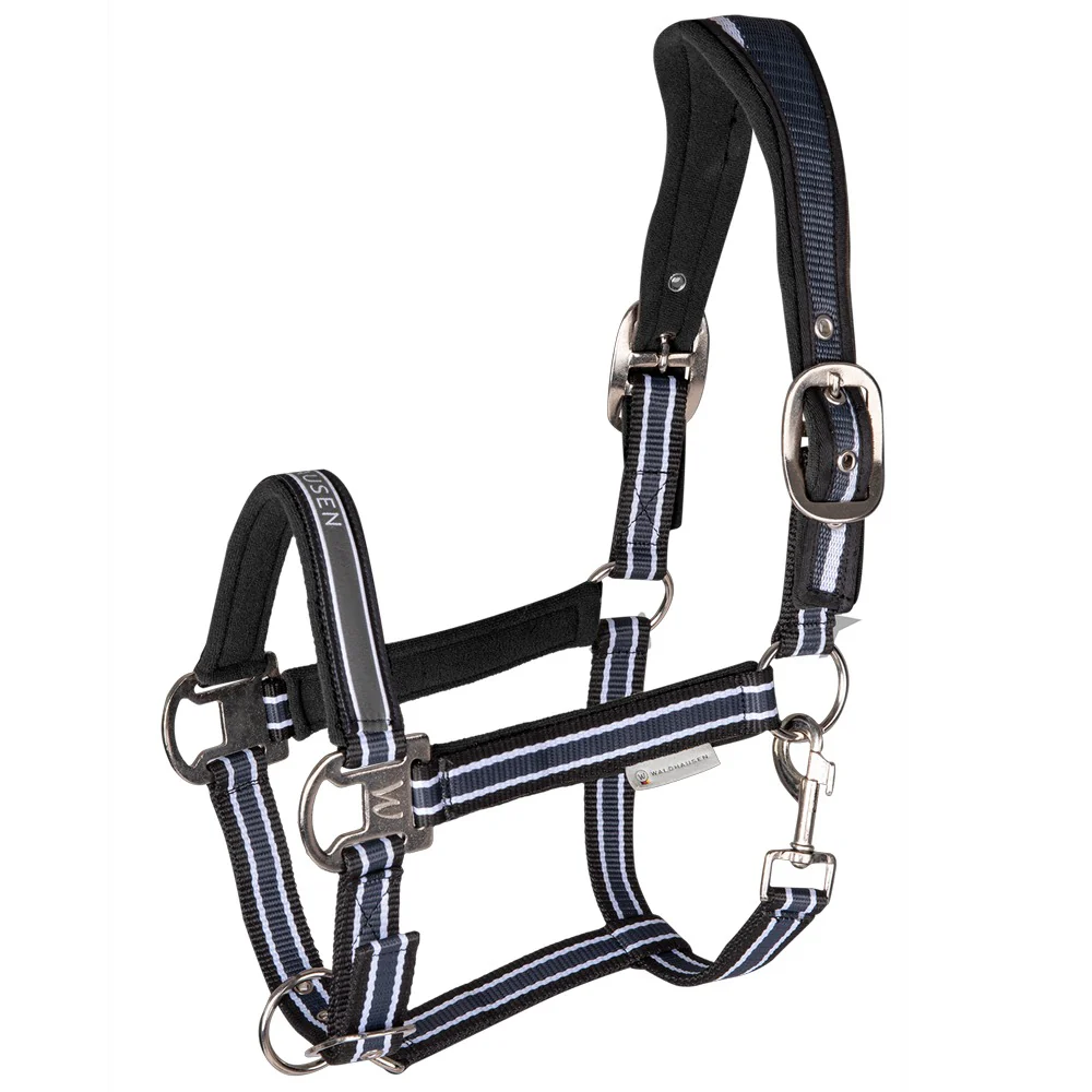 Capezza Athletic - Image 5