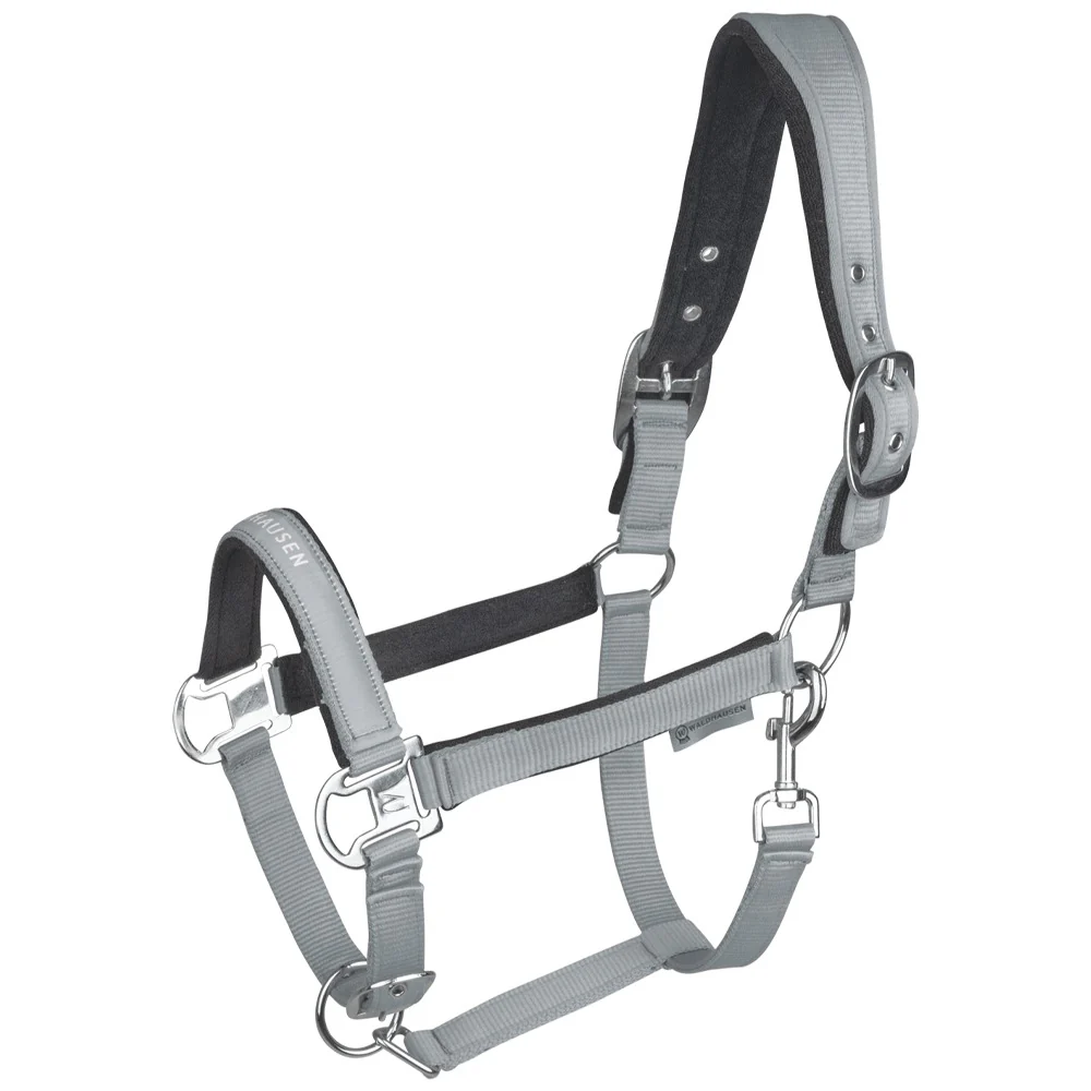 Capezza Athletic - Image 8