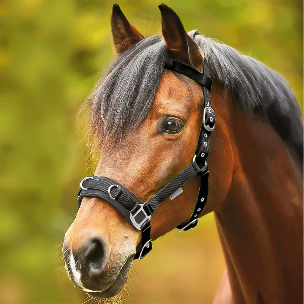 Capezza per pony