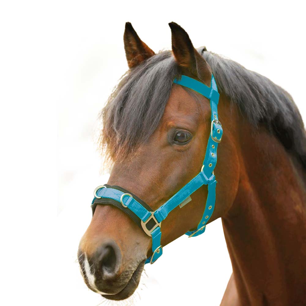 Capezza per pony - Image 4