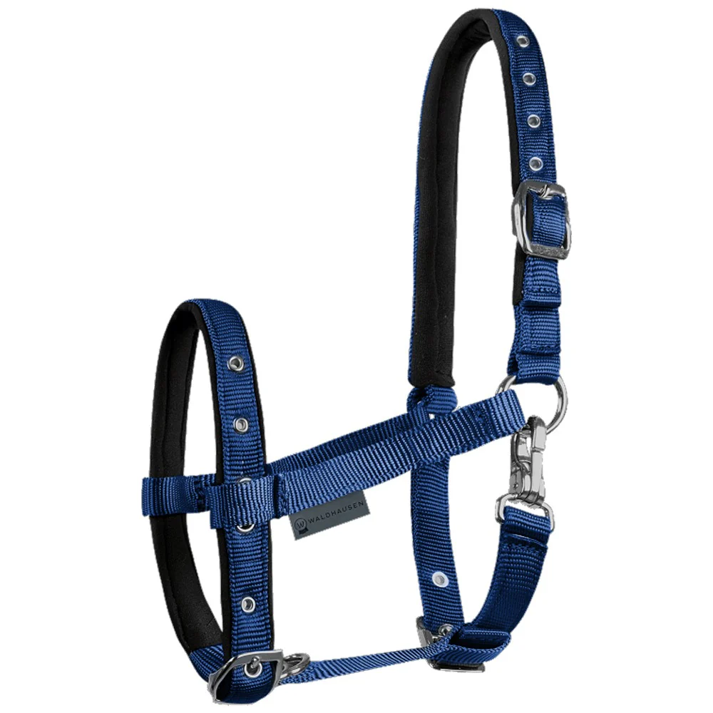 Capezza per puledro Comfort - Image 3
