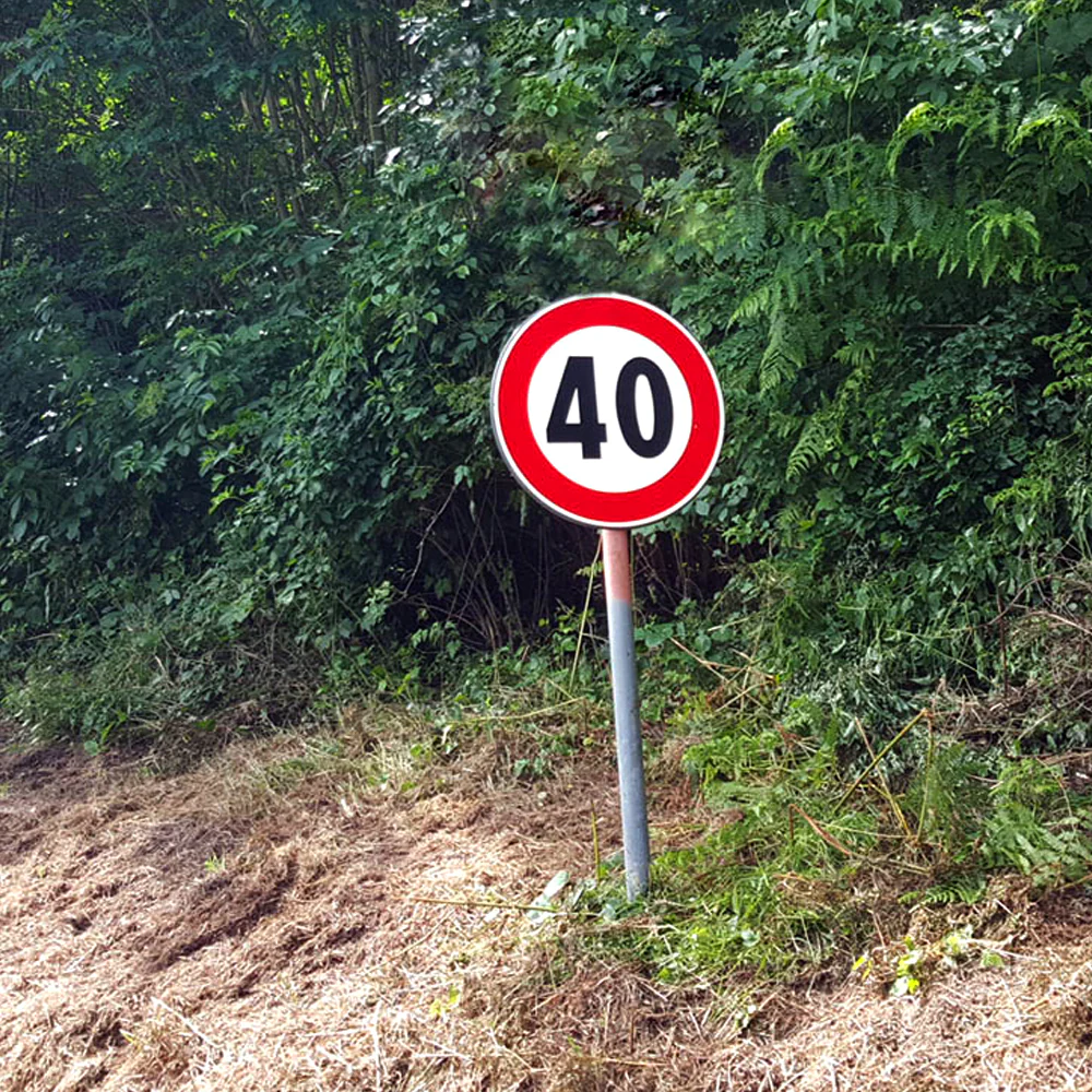 Cartello limite velocità 40km/h - Image 4