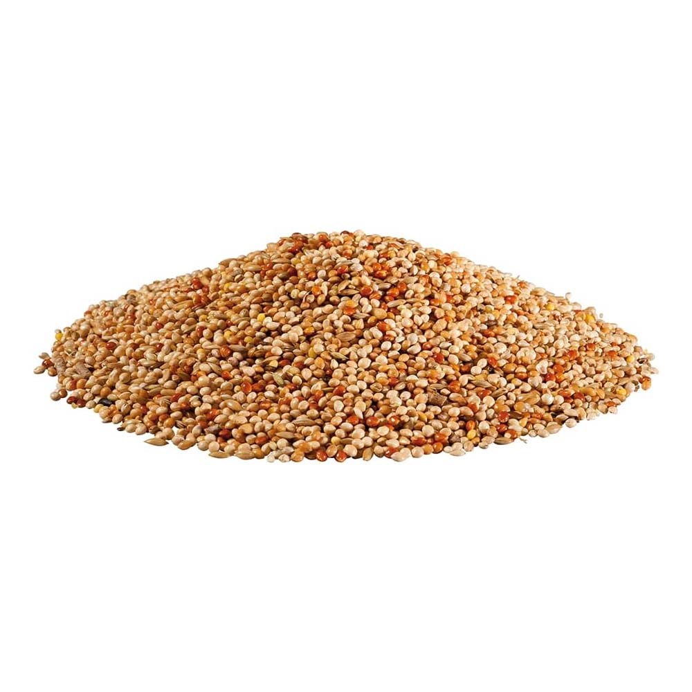 Cibo per pappagallini Panto-1kg - Image 5