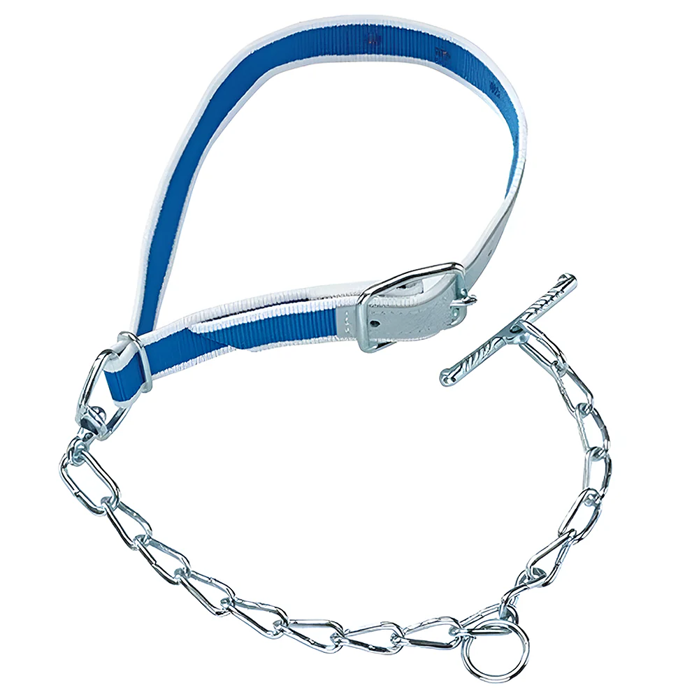 Collare in nylon per vitelli con rifiniture in pelle e catena singola E 5