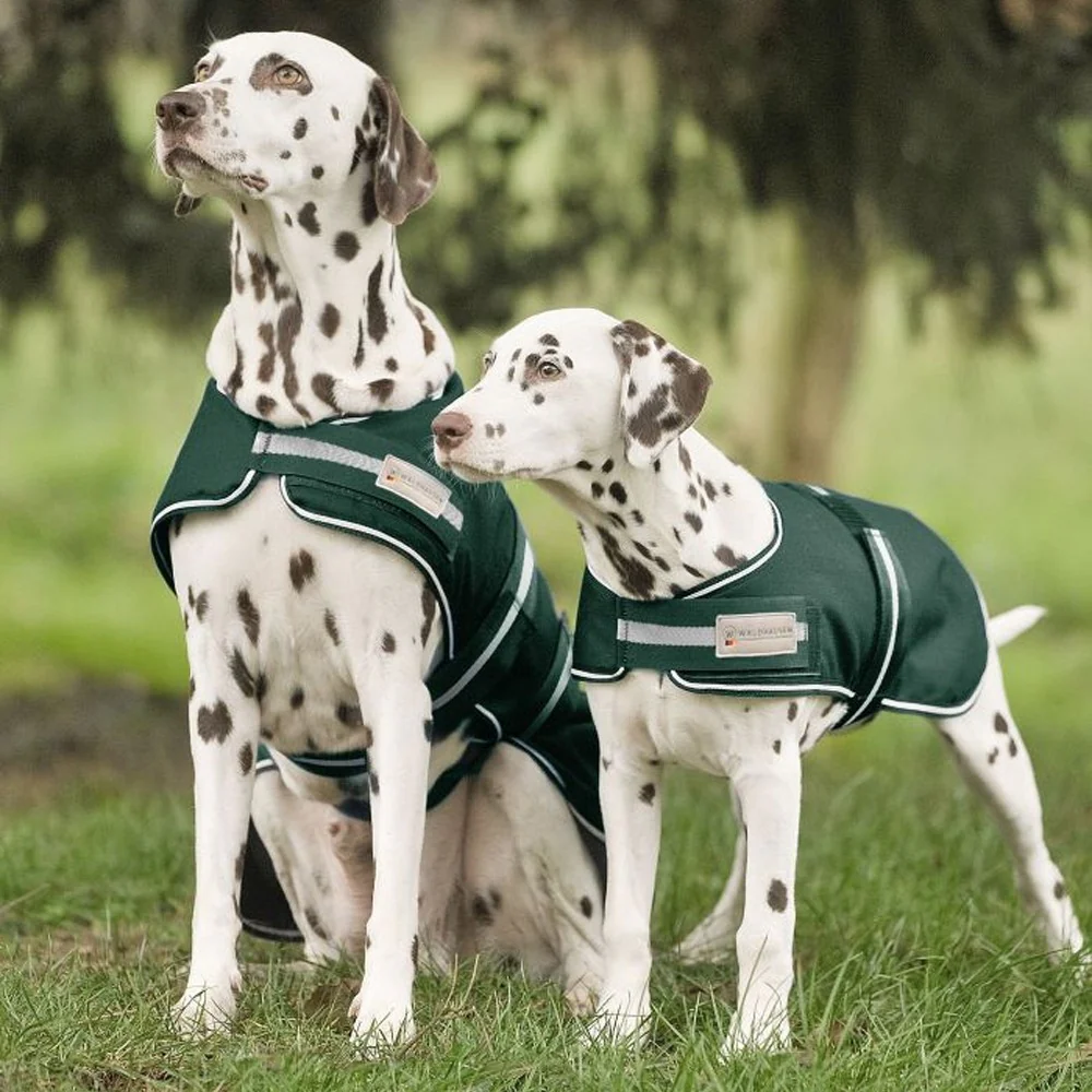 Coperta da pioggia per cani
