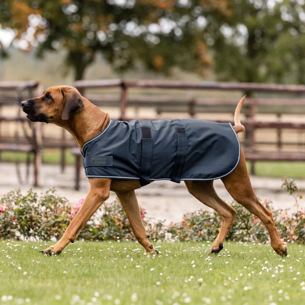 Coperta da pioggia per cani - Image 2