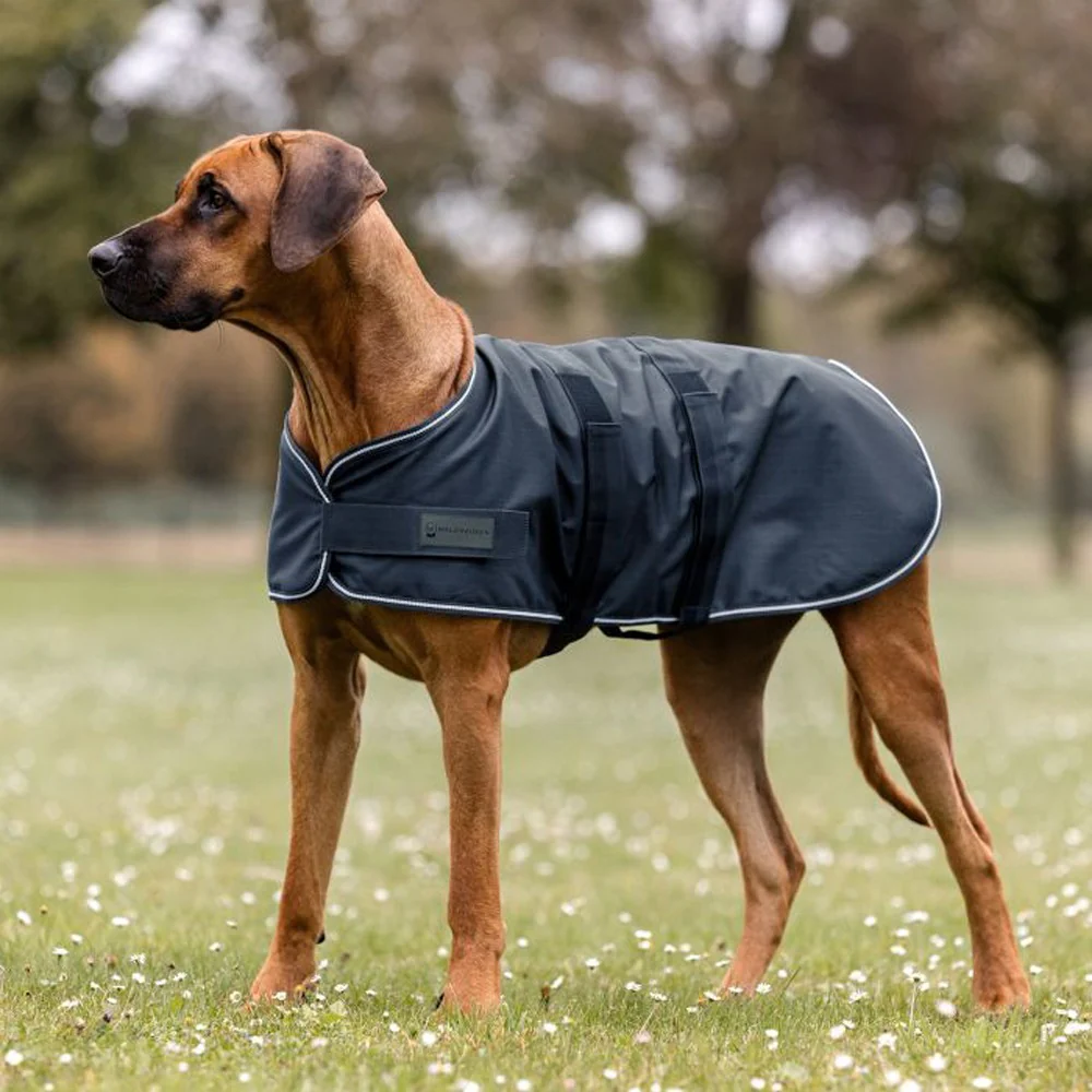 Coperta da pioggia per cani - Image 3