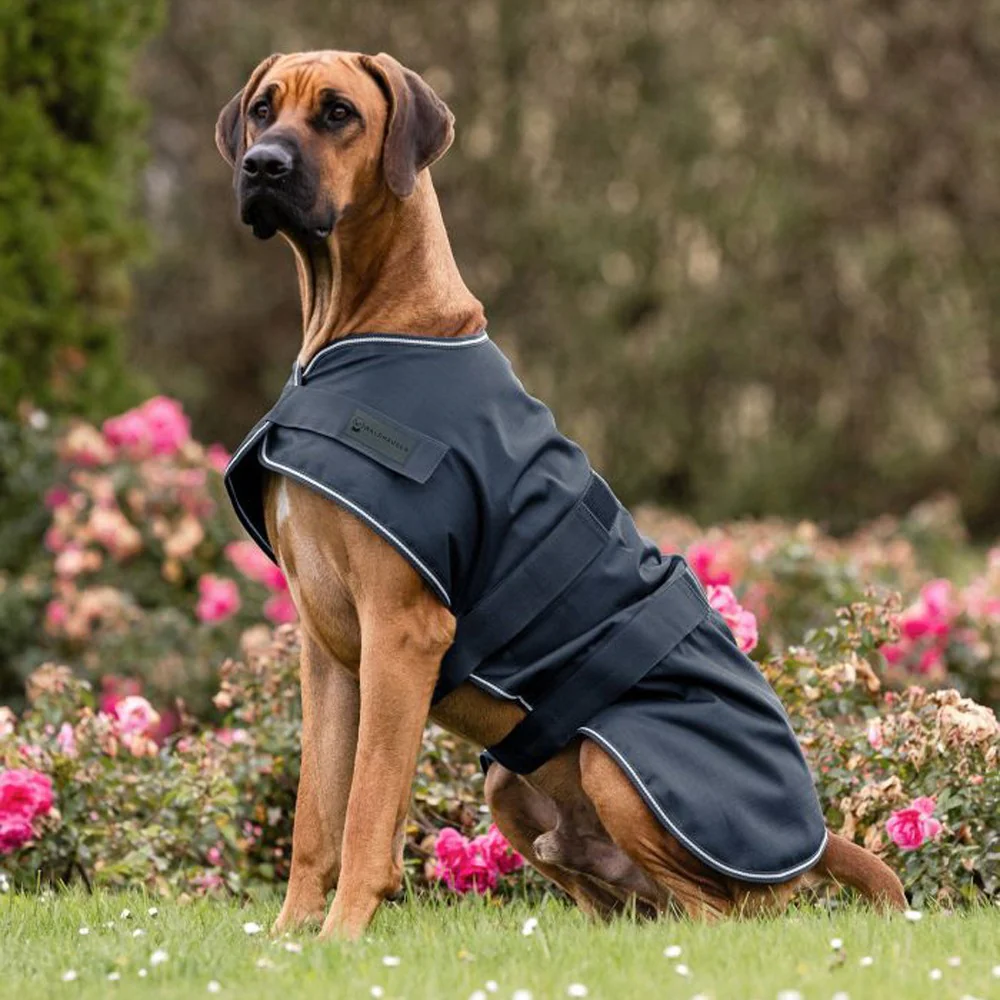 Coperta da pioggia per cani - Image 4