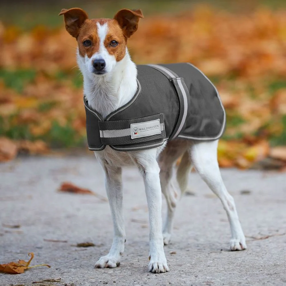 Coperta per cani COMFORT, 200g
