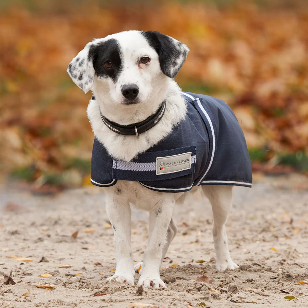 Coperta per cani COMFORT, 200g - Image 2