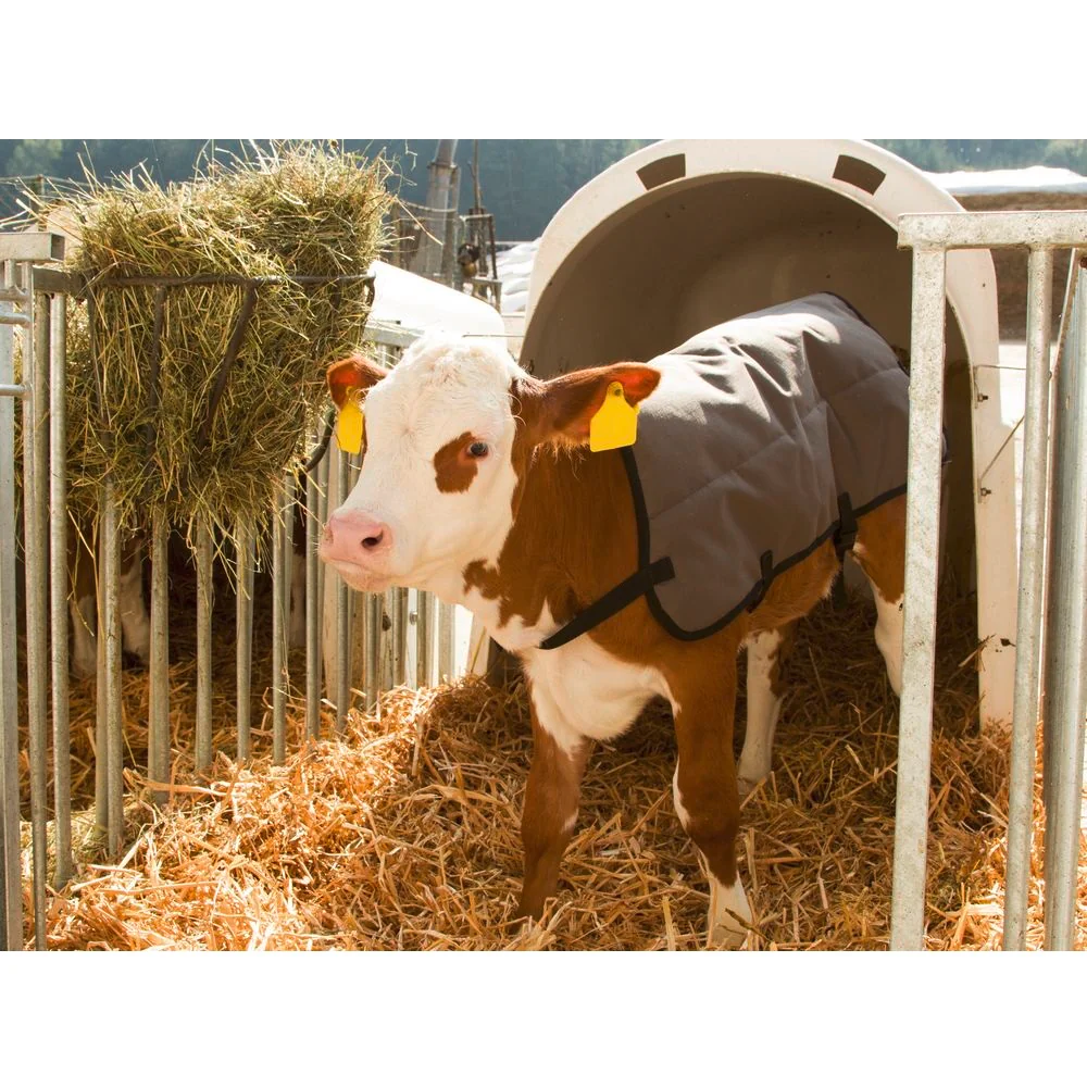 Coperta per vitelli - Image 4