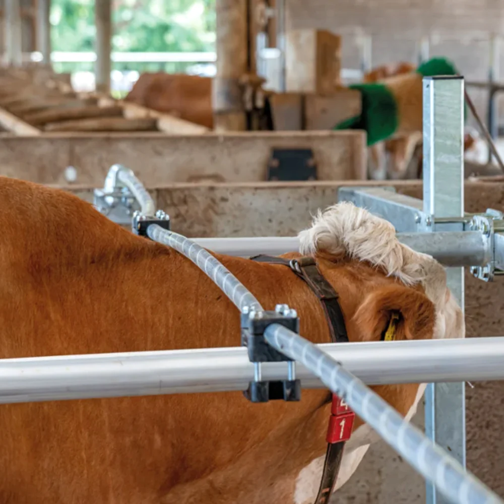 Corda Flessibile per Collo – Divisorio Tavolo Alimentazione Mucche - Image 2