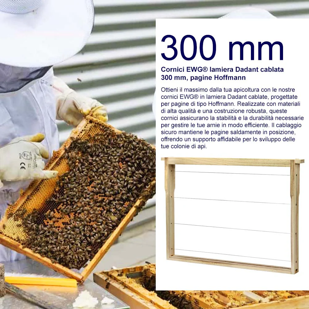 Cornici EWG® lamiera Dadant cablata 300 mm, pagine Hoffmann - Image 5