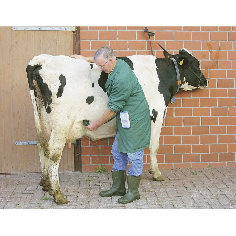 Diagnosticatore di gravidanza HK per bovini - Image 4