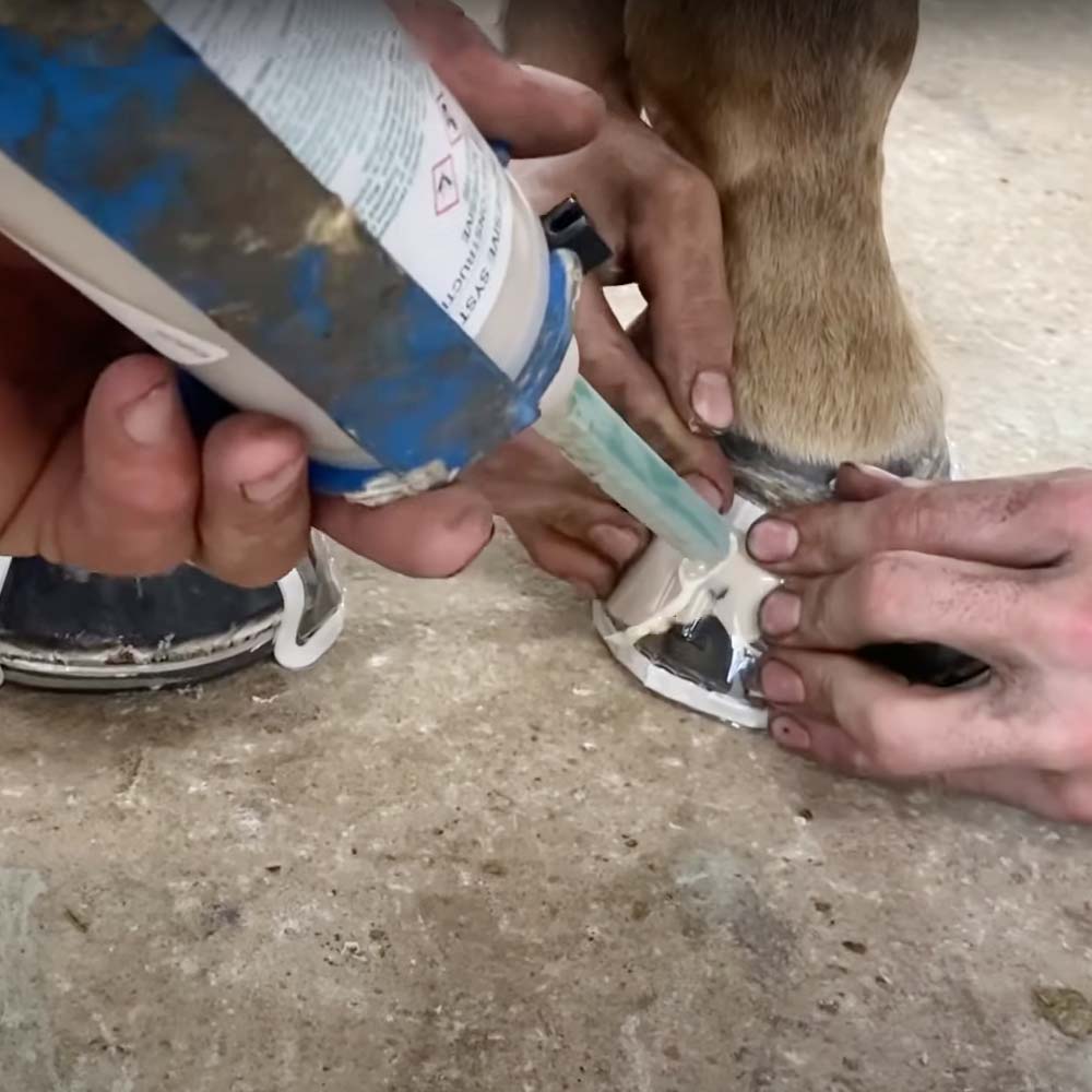 Equilox I e II Bianco - 420 ml | Adesivi Professionali per Riparazione Zoccoli - Image 4