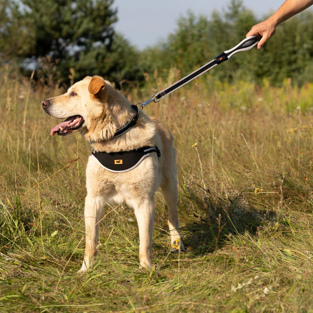 Ergo Comforts G Guinzaglio in nylon con impugnatura ergonomica Per Cani - Image 3