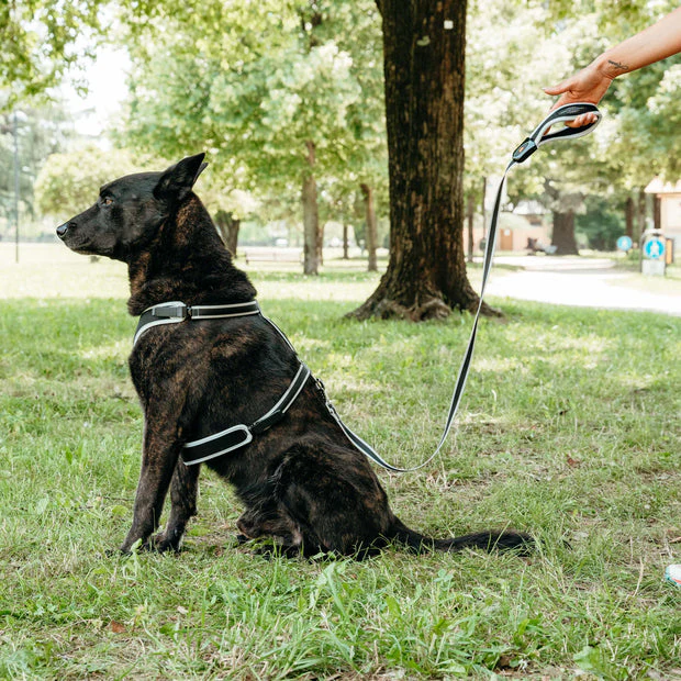 Ergo Comforts G Guinzaglio in nylon con impugnatura ergonomica Per Cani - Image 5