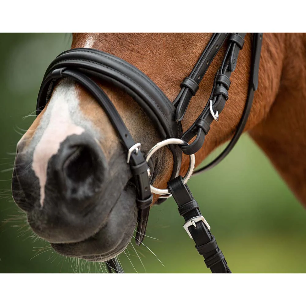 Filetto ad anelli pony, pieno da 10,5cm - Image 3