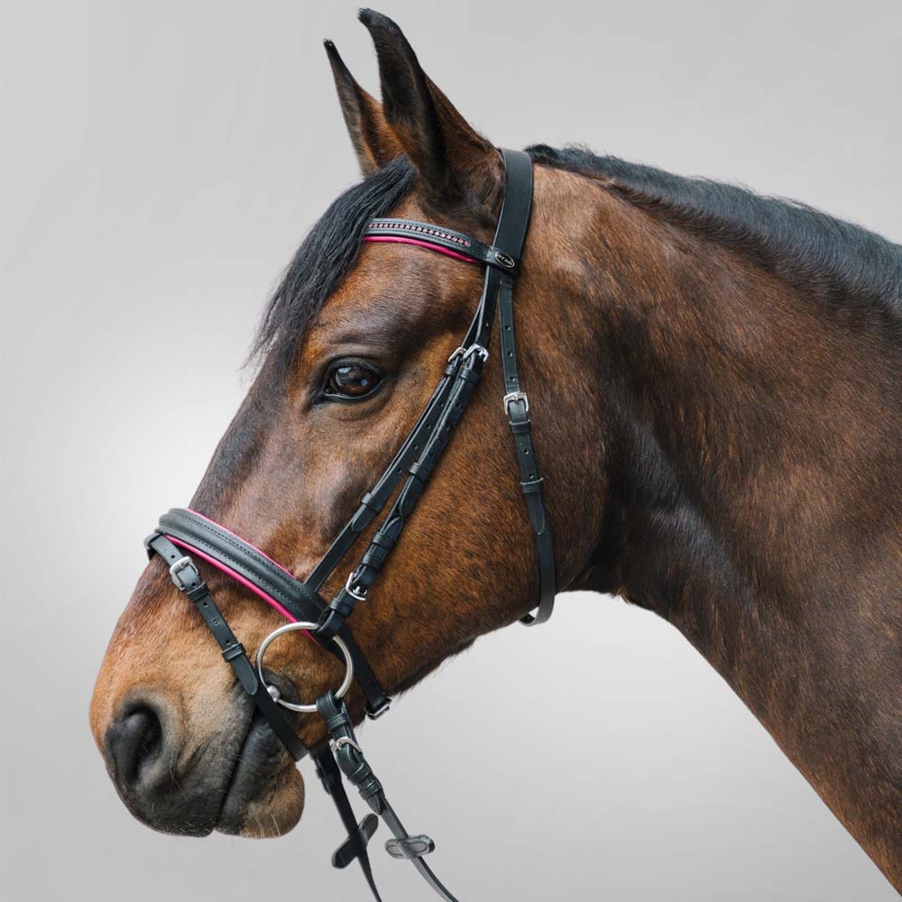 Filetto ad anelli pony, pieno da 10,5cm - Image 4