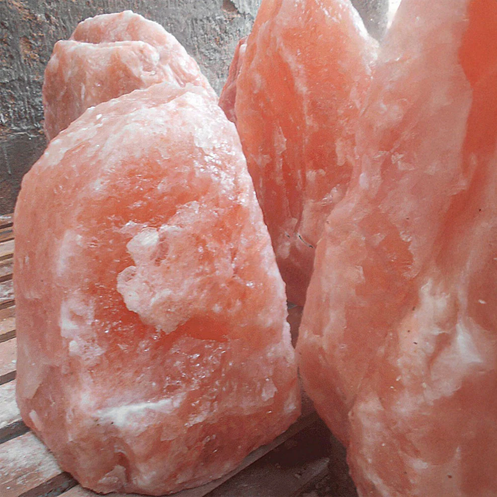 Himalaya Sale Blocchi Naturale e Puro, Fondamentale per il Mantenimento Ossa - Image 3