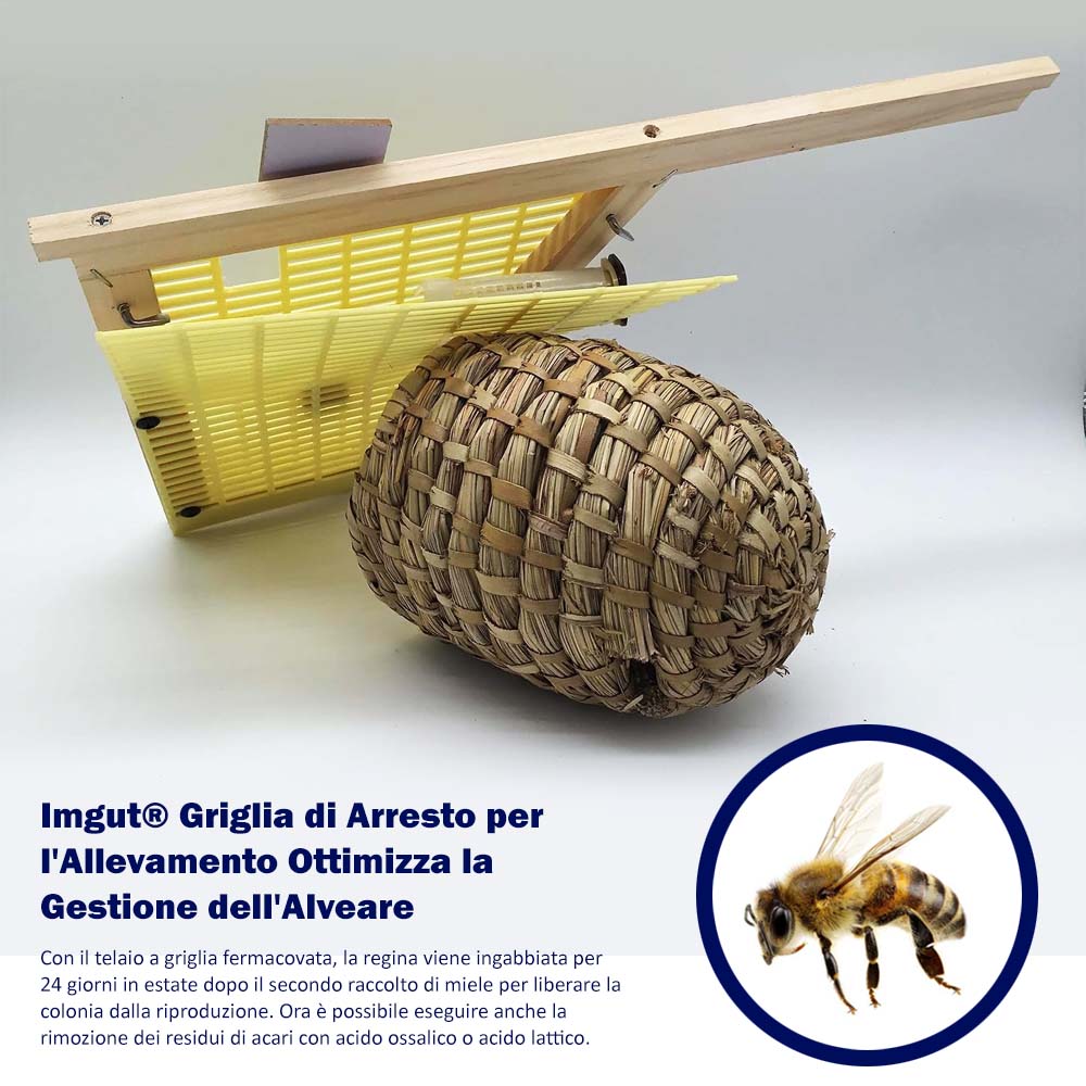 Imgut® Griglia di Arresto per l'Allevamento Ottimizza la Gestione dell'Alveare - Image 12
