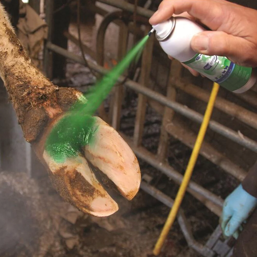 Intra Repiderma Spray per la Cura della Pelle e Degli Zoccoli - Image 6