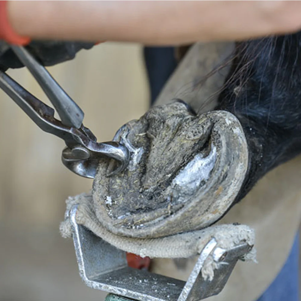 Knipex tenaglia da pareggio - cura degli zoccoli per bovini | strumento professionale 30 cm - Image 2