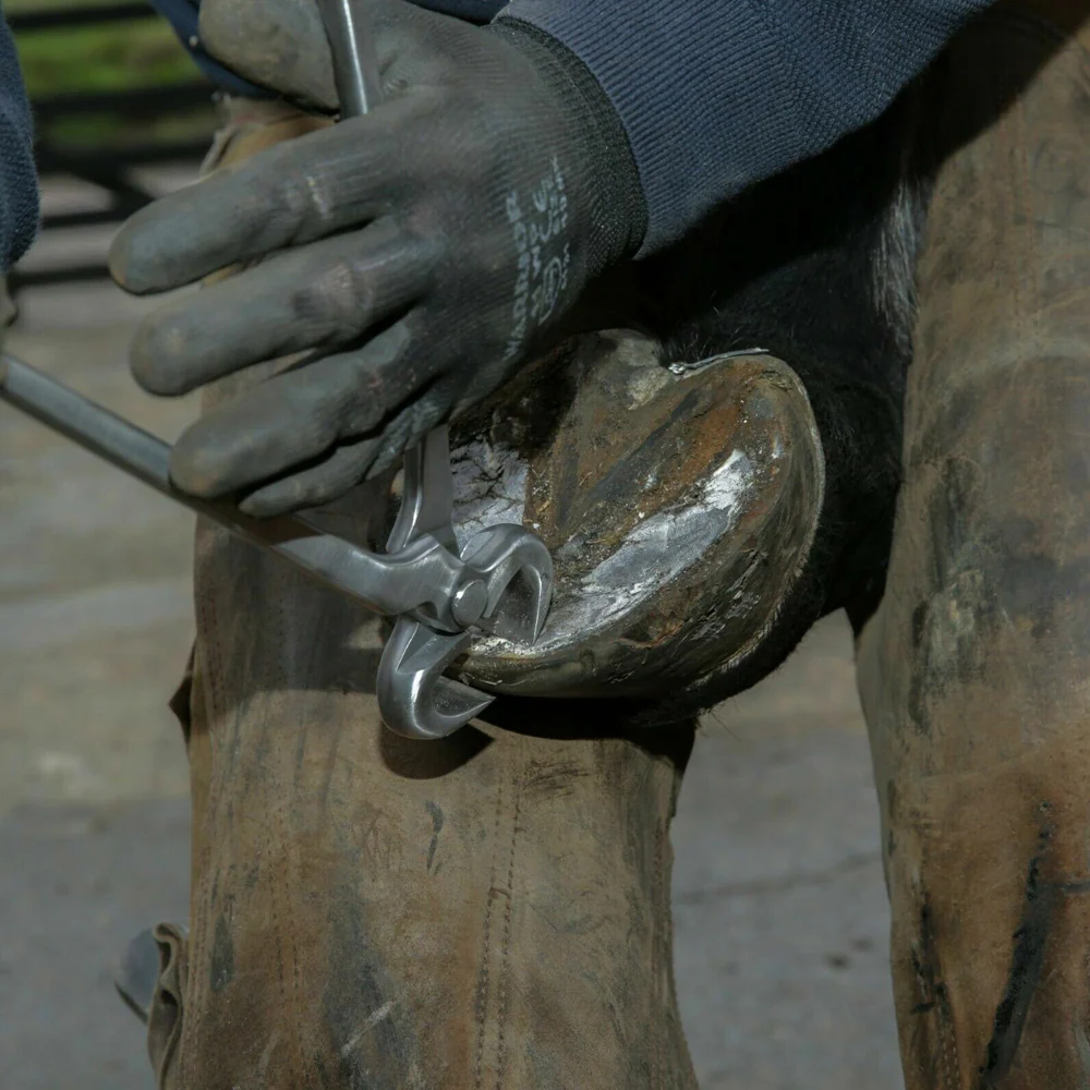 Knipex tenaglia da pareggio - cura degli zoccoli per bovini | strumento professionale 30 cm - Image 5