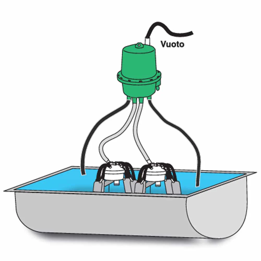 Lavatrice per Guaina di Mungitura Verde - Image 2