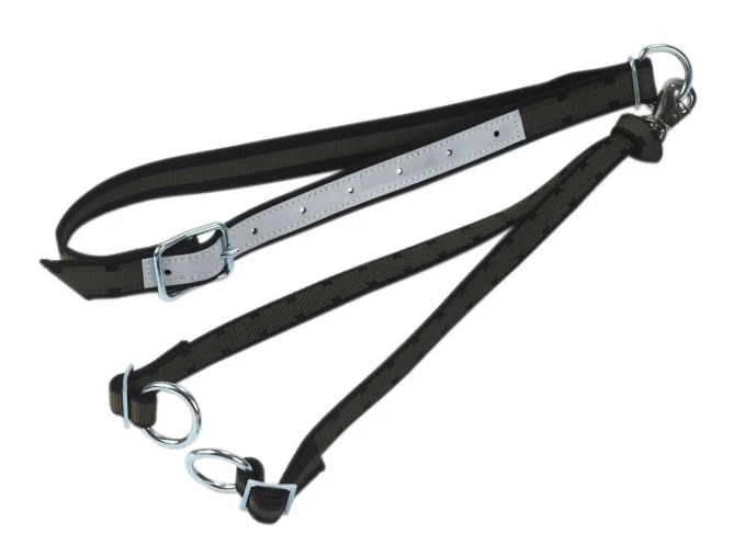 Legatura bovini con collare Top Quality tutte le catene zincate - Image 4