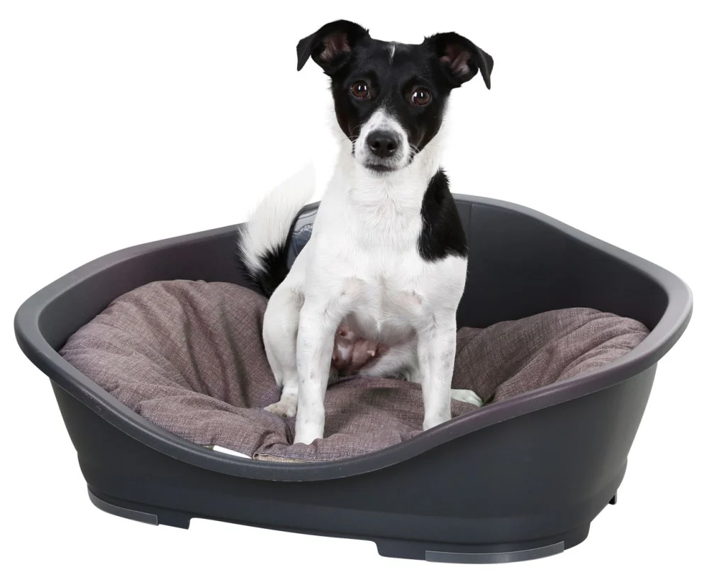 Letto Cuccia in Plastica da Interno per Cani Sleepers - Image 3