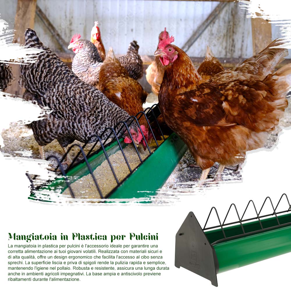 Mangiatoia in Plastica per Pulcini - Image 12