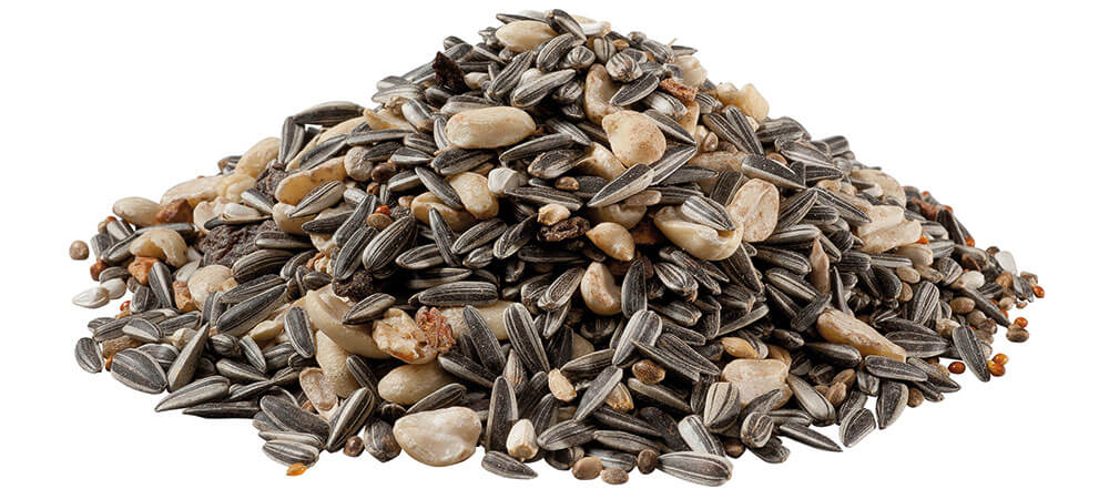 Mangime Panto Premium Streufutter Per Uccelli Selvatici 1,7kg - Image 3