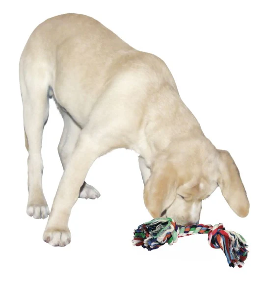 Nodi per denti per cani - Image 3