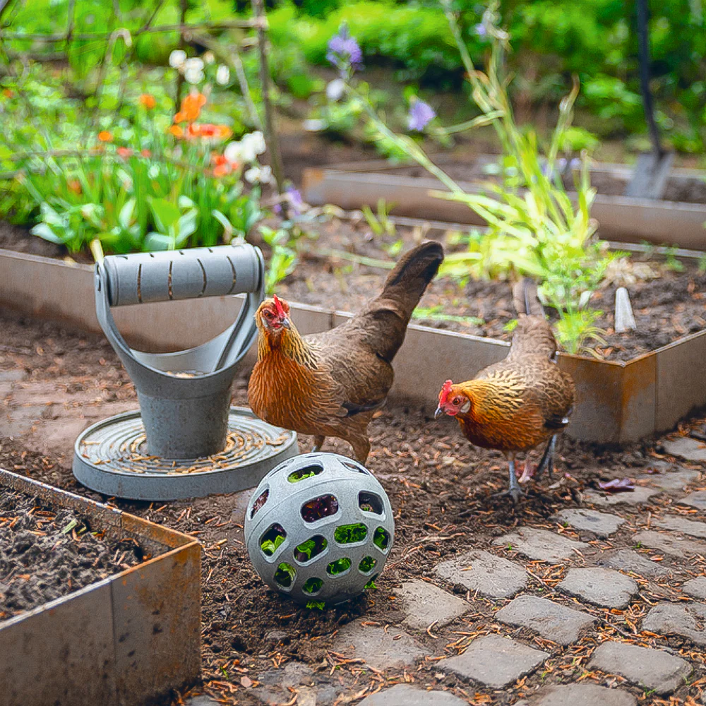 Palla Snack per Galline - 100% Plastica Riciclata | Ø 150mm | Ecologica - Image 10