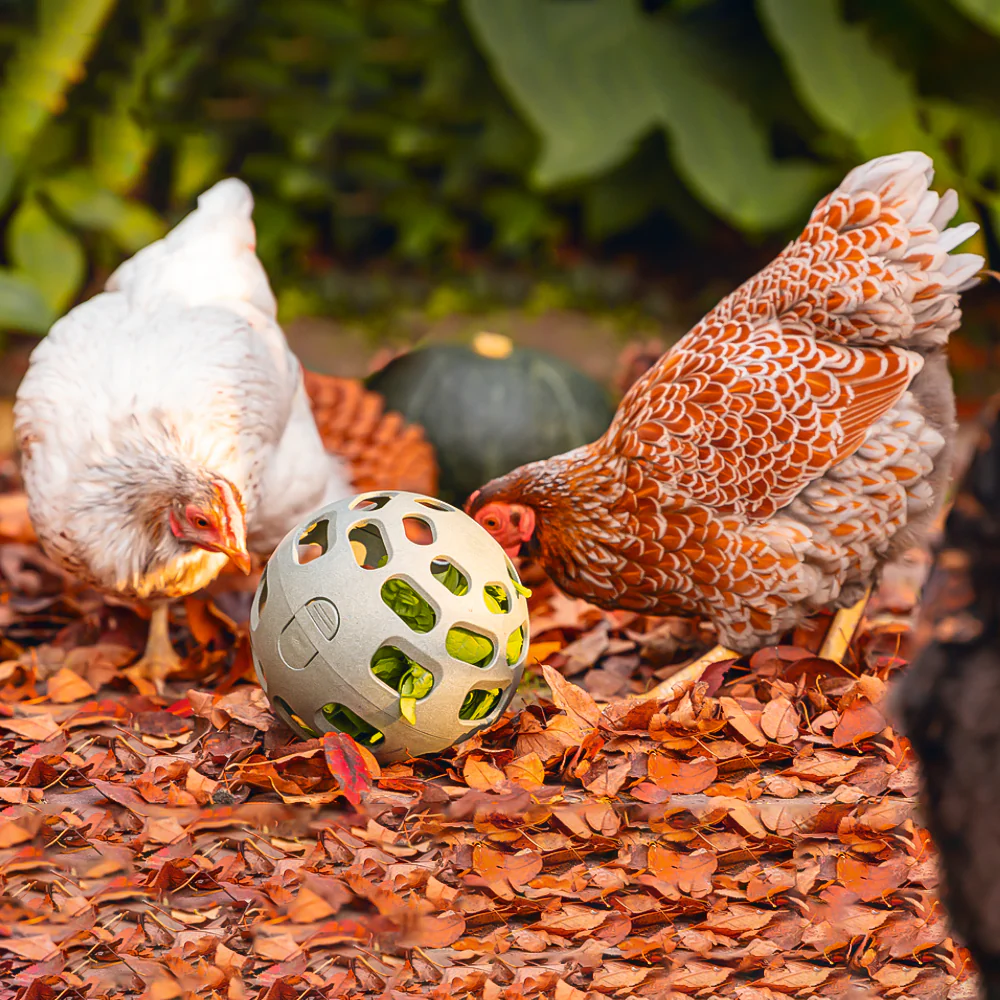 Palla Snack per Galline - 100% Plastica Riciclata | Ø 150mm | Ecologica - Image 5